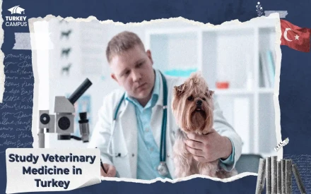 Veterinary Medicine Field